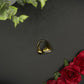 Bague nacre dorée